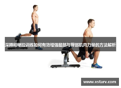 深蹲和硬拉训练如何有效增强腿部与臀部肌肉力量的方法解析