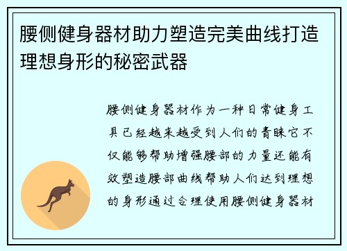 腰侧健身器材助力塑造完美曲线打造理想身形的秘密武器