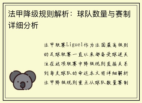 法甲降级规则解析：球队数量与赛制详细分析