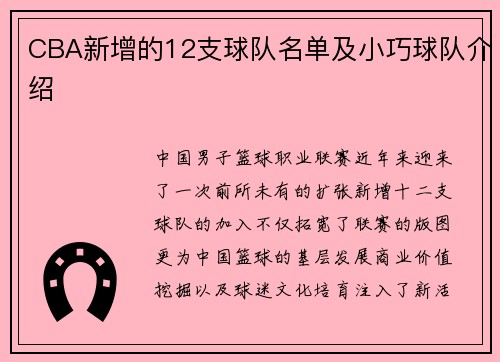 CBA新增的12支球队名单及小巧球队介绍